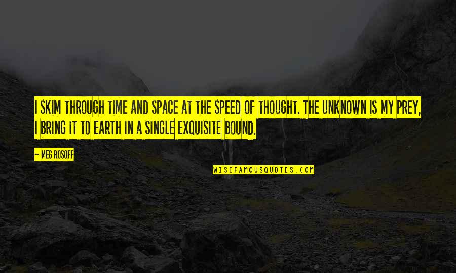 Speed Of Thought Quotes By Meg Rosoff: I skim through time and space at the