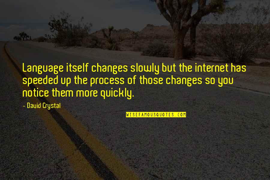Speeded Quotes By David Crystal: Language itself changes slowly but the internet has