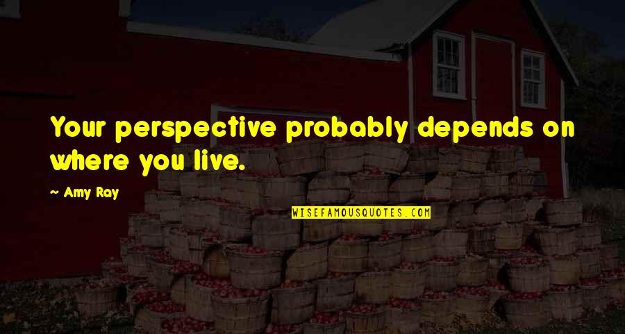 Speelmans Nursery Quotes By Amy Ray: Your perspective probably depends on where you live.
