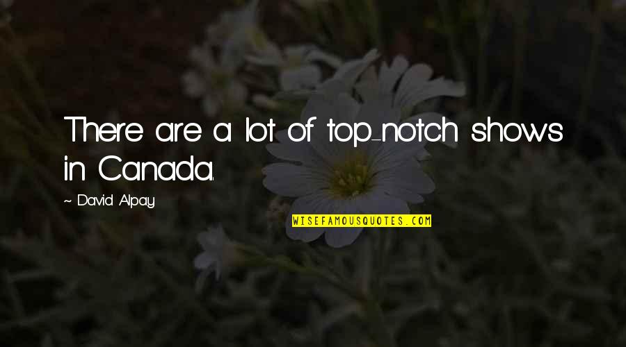 Spehar Squeegee Quotes By David Alpay: There are a lot of top-notch shows in Spehar Squeegee Quotes By David Alpay: There are a lot of top-notch shows in