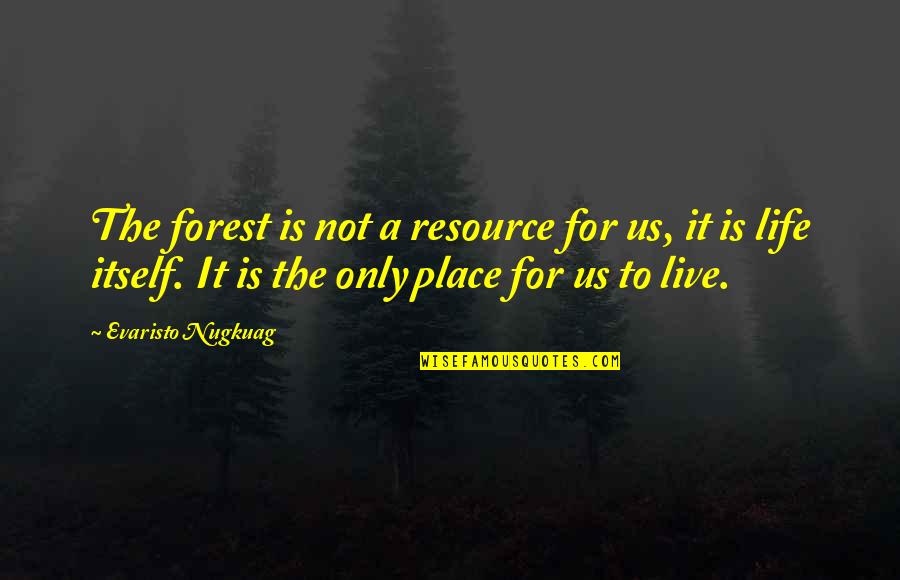 Speicher Quotes By Evaristo Nugkuag: The forest is not a resource for us,