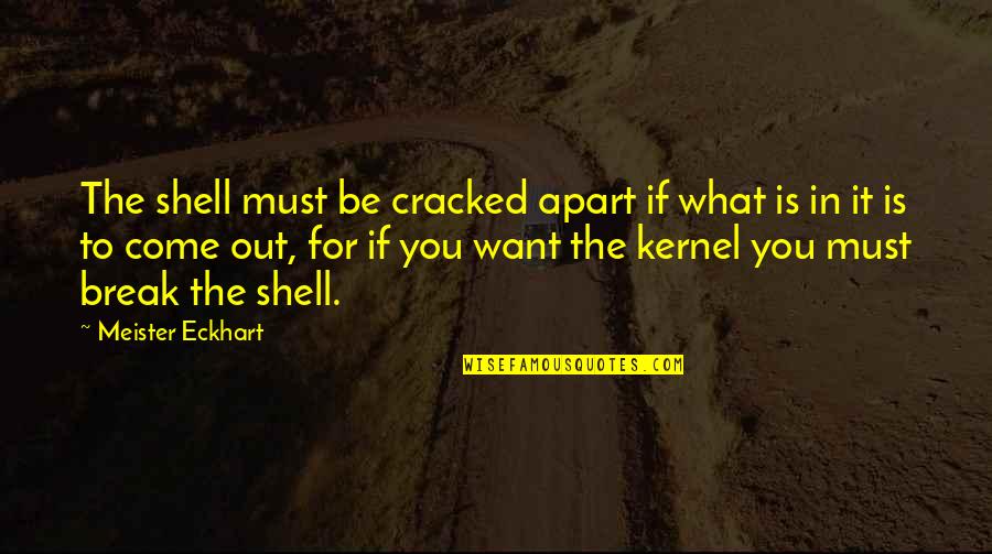 Spencer Journal Quotes By Meister Eckhart: The shell must be cracked apart if what Spencer Journal Quotes By Meister Eckhart: The shell must be cracked apart if what