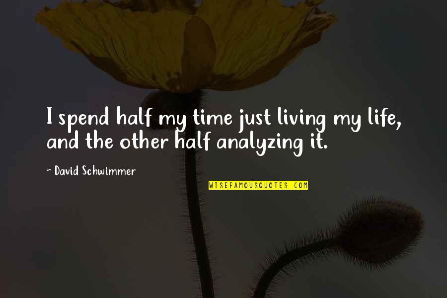 Spend My Life Quotes By David Schwimmer: I spend half my time just living my