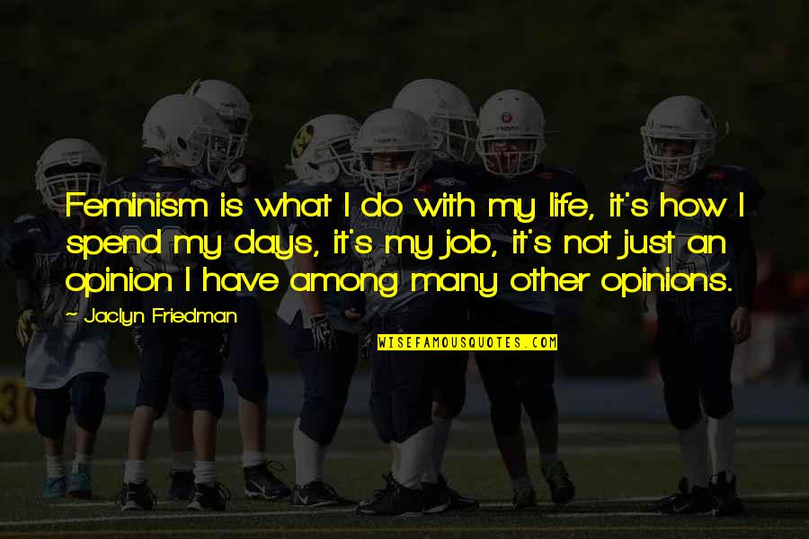 Spend My Life Quotes By Jaclyn Friedman: Feminism is what I do with my life,