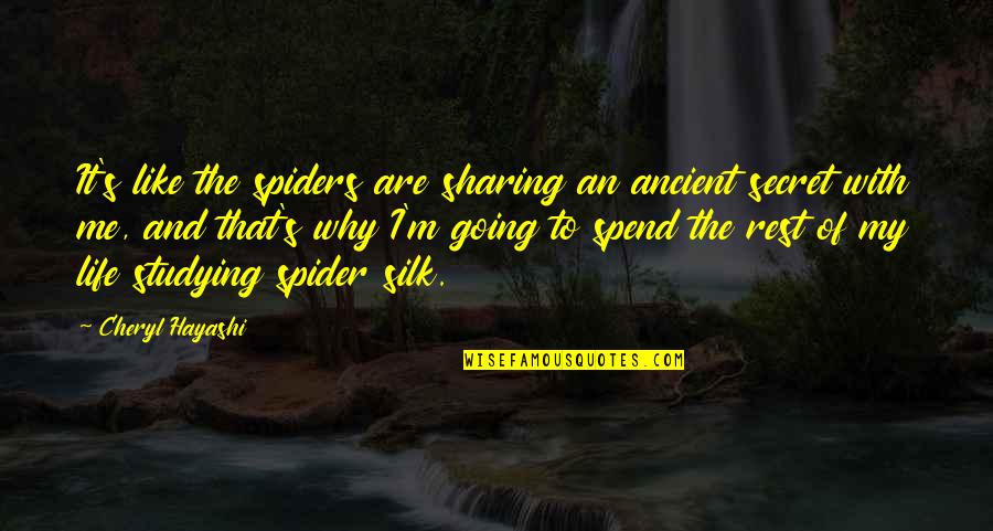 Spend Your Life With Me Quotes By Cheryl Hayashi: It's like the spiders are sharing an ancient