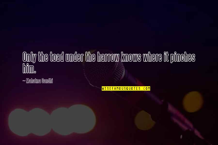 Spending Time With Friends And Family Quotes By Mahatma Gandhi: Only the toad under the harrow knows where Spending Time With Friends And Family Quotes By Mahatma Gandhi: Only the toad under the harrow knows where