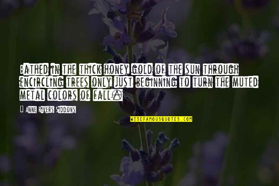 Spending Time With Your Wife Quotes By Anne Rivers Siddons: Bathed in the thick honey gold of the