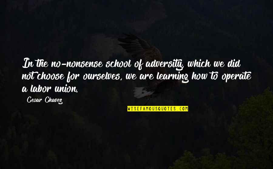 Spendthrifts Quotes By Cesar Chavez: In the no-nonsense school of adversity, which we Spendthrifts Quotes By Cesar Chavez: In the no-nonsense school of adversity, which we