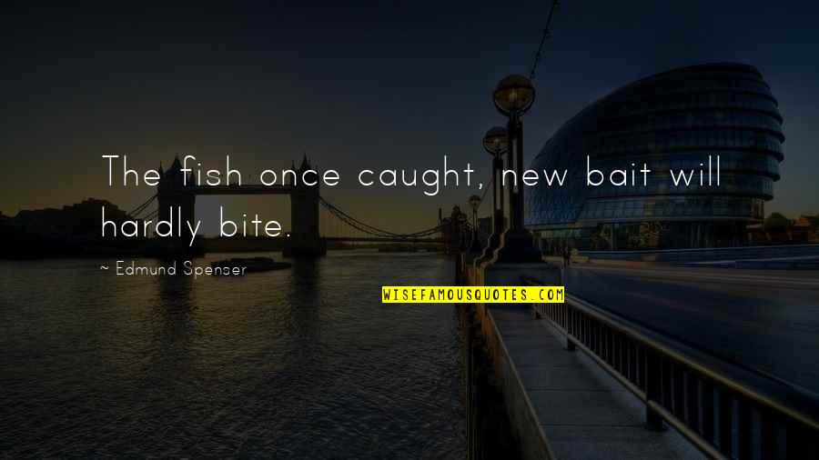 Spenser's Quotes By Edmund Spenser: The fish once caught, new bait will hardly
