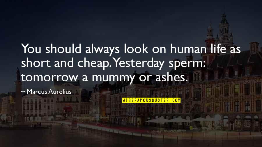 Sperm Quotes By Marcus Aurelius: You should always look on human life as