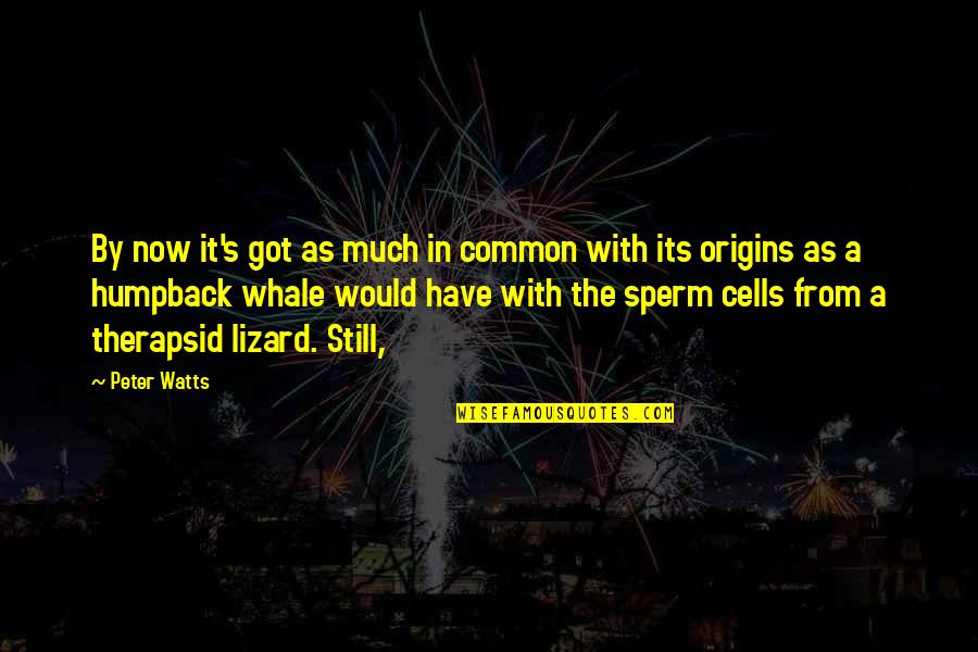 Sperm Quotes By Peter Watts: By now it's got as much in common