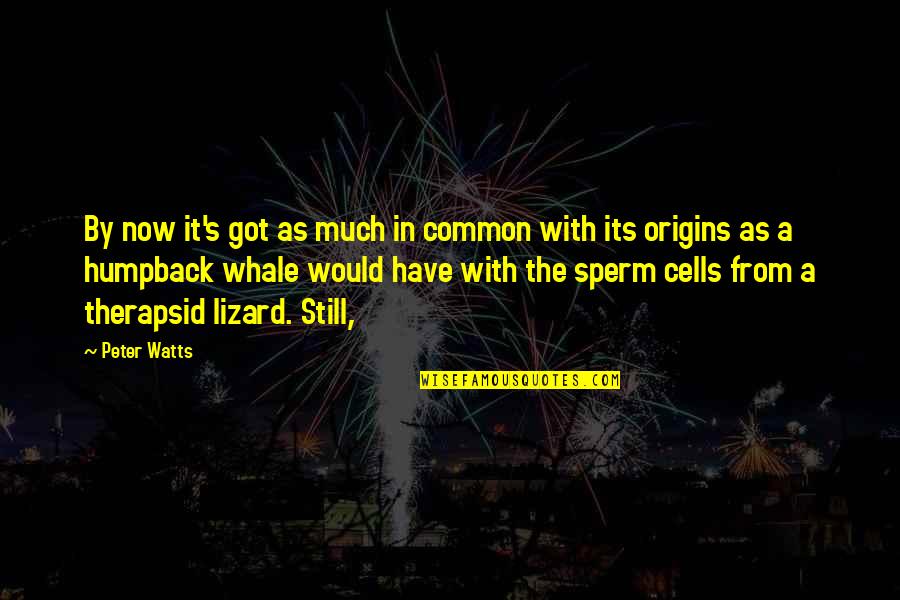 Sperm Quotes By Peter Watts: By now it's got as much in common Sperm Quotes By Peter Watts: By now it's got as much in common