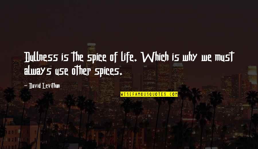 Spice It Up Quotes By David Levithan: Dullness is the spice of life. Which is