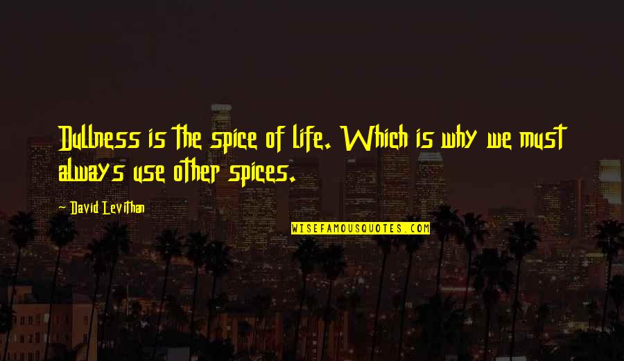 Spice Of Life Quotes By David Levithan: Dullness is the spice of life. Which is