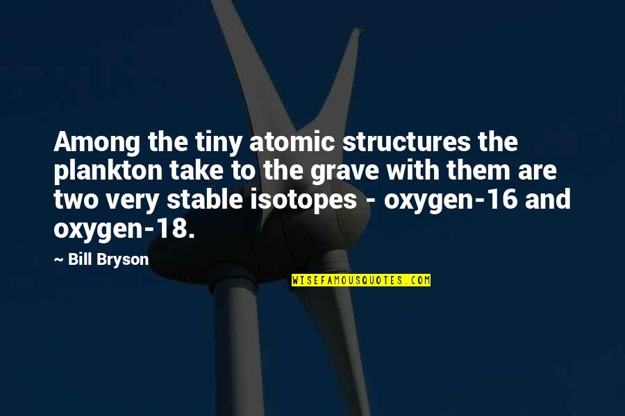 Spicules Quotes By Bill Bryson: Among the tiny atomic structures the plankton take