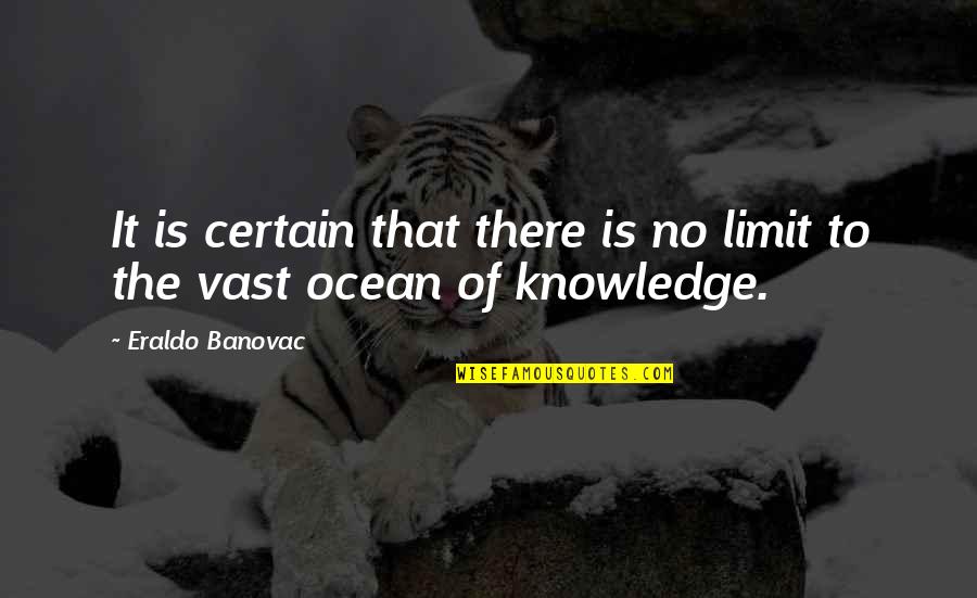 Spider Bite Quotes By Eraldo Banovac: It is certain that there is no limit