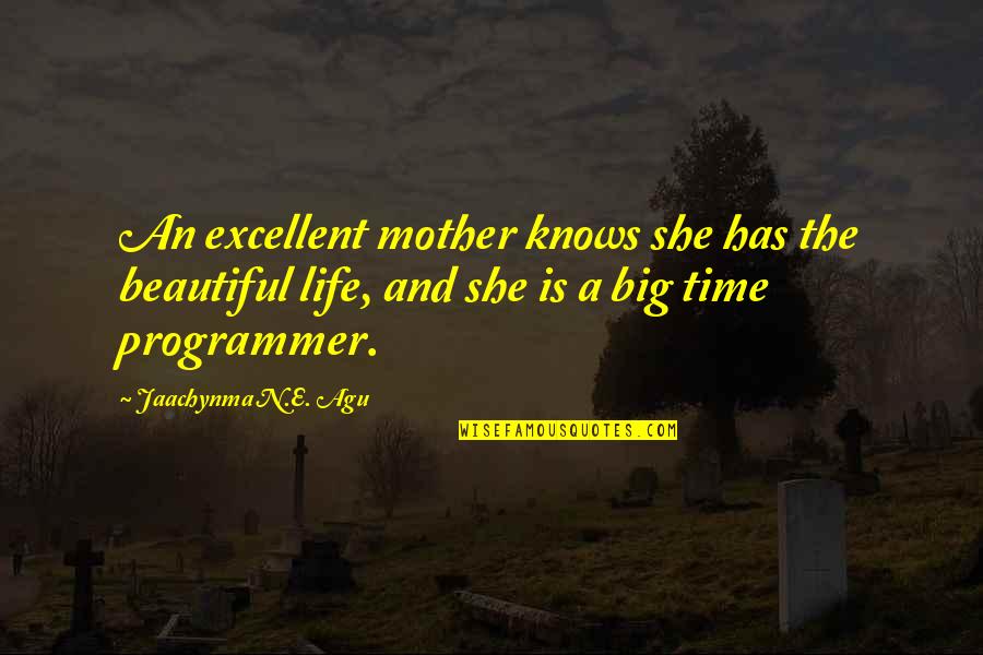 Spider Man Who Am I Quotes By Jaachynma N.E. Agu: An excellent mother knows she has the beautiful