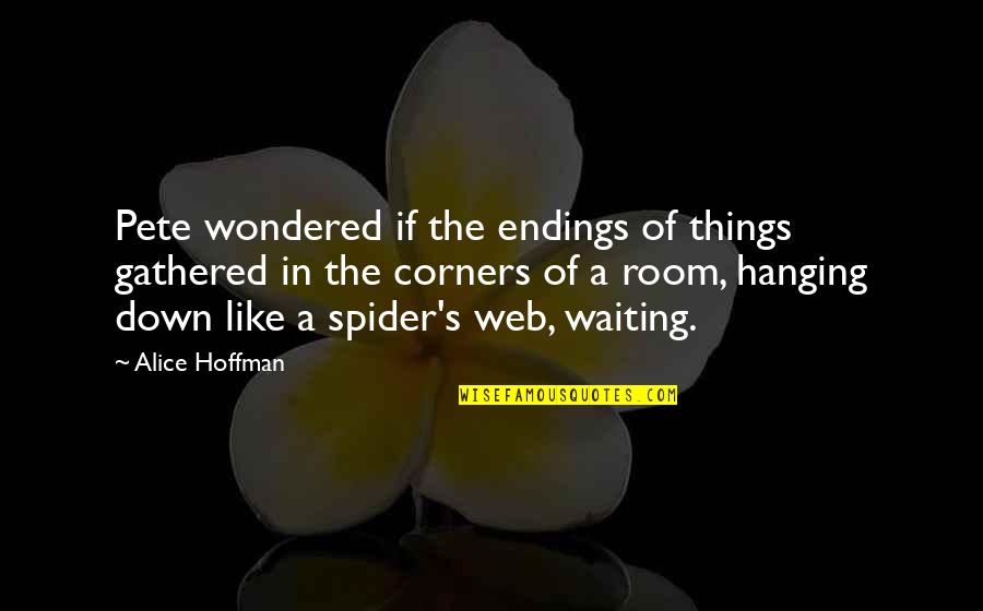 Spider Web Quotes By Alice Hoffman: Pete wondered if the endings of things gathered