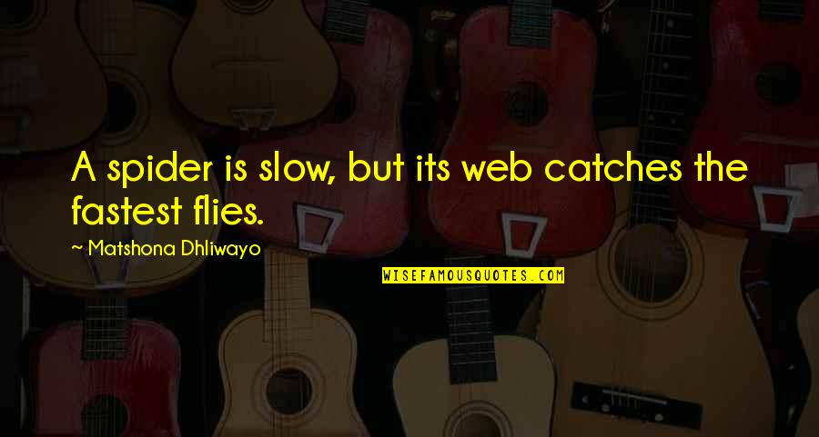 Spider Web Quotes By Matshona Dhliwayo: A spider is slow, but its web catches