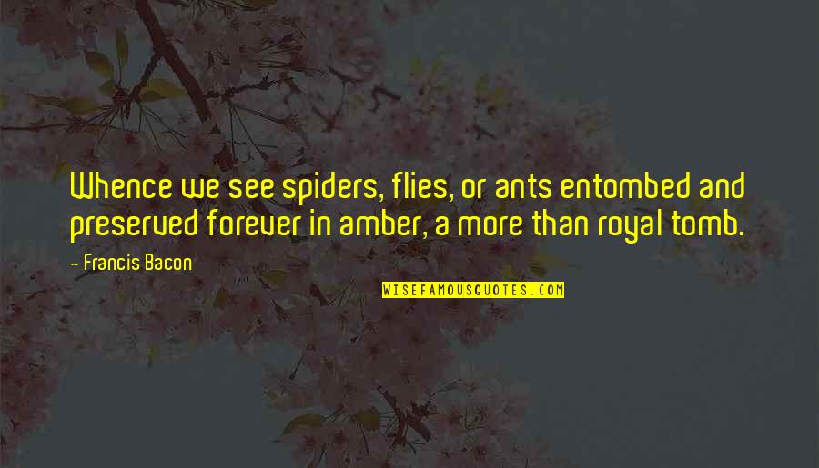 Spiders Quotes By Francis Bacon: Whence we see spiders, flies, or ants entombed