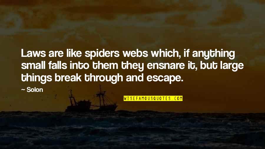 Spiders Quotes By Solon: Laws are like spiders webs which, if anything