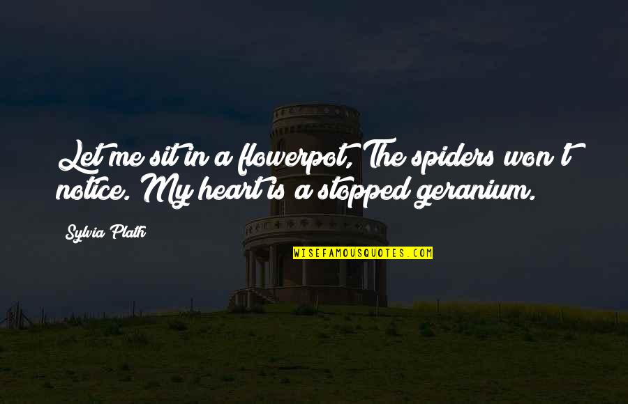 Spiders Quotes By Sylvia Plath: Let me sit in a flowerpot, The spiders