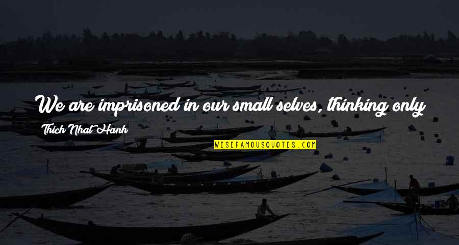 Spideryo Quotes By Thich Nhat Hanh: We are imprisoned in our small selves, thinking