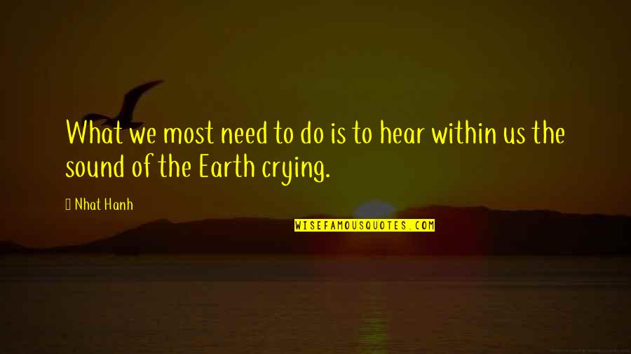Spidula Rod Quotes By Nhat Hanh: What we most need to do is to