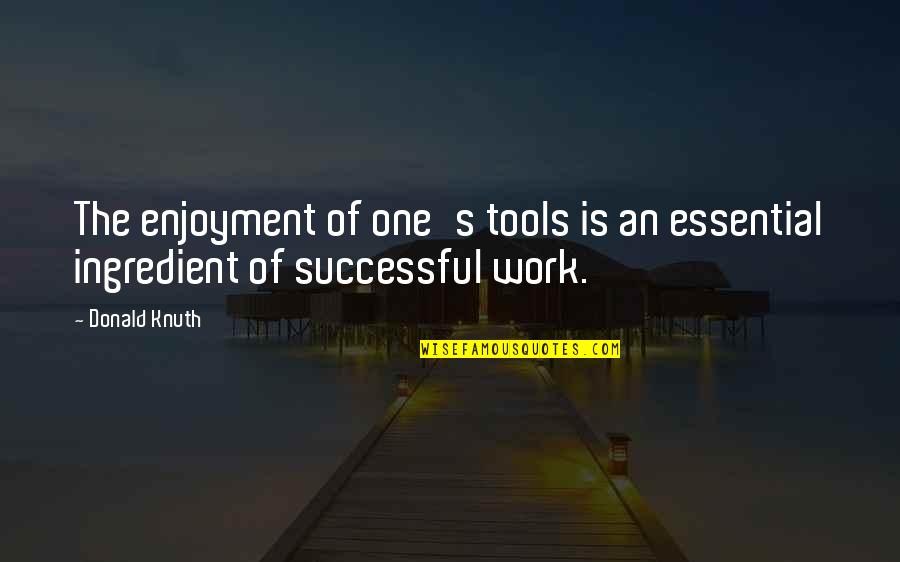 Spiegazione Sinonimo Quotes By Donald Knuth: The enjoyment of one's tools is an essential
