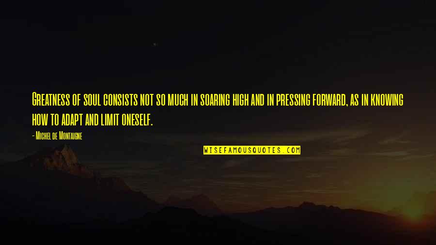 Spiekermann Dr Quotes By Michel De Montaigne: Greatness of soul consists not so much in Spiekermann Dr Quotes By Michel De Montaigne: Greatness of soul consists not so much in