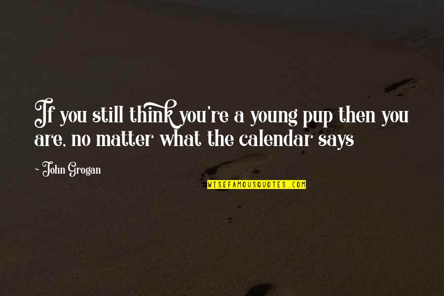 Spielmakers Kitchen Quotes By John Grogan: If you still think you're a young pup