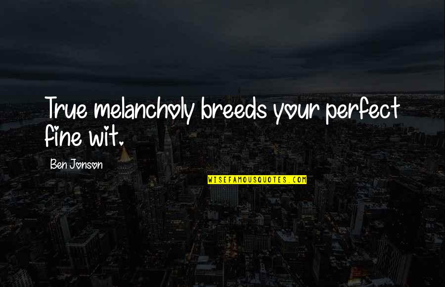 Spielsachen Quotes By Ben Jonson: True melancholy breeds your perfect fine wit.