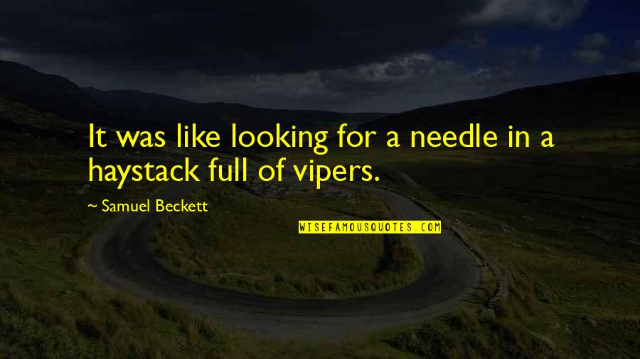 Spierings Cranes Quotes By Samuel Beckett: It was like looking for a needle in Spierings Cranes Quotes By Samuel Beckett: It was like looking for a needle in