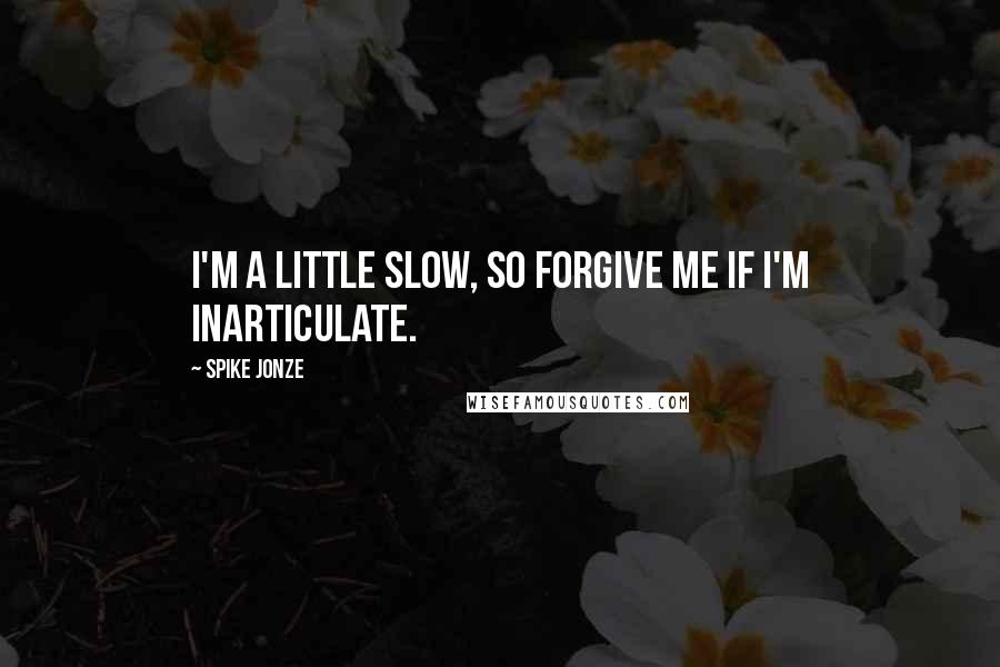 Spike Jonze quotes: I'm a little slow, so forgive me if I'm inarticulate.