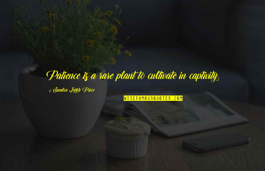 Spike Mlp Quotes By Sandra Leigh Price: Patience is a rare plant to cultivate in Spike Mlp Quotes By Sandra Leigh Price: Patience is a rare plant to cultivate in