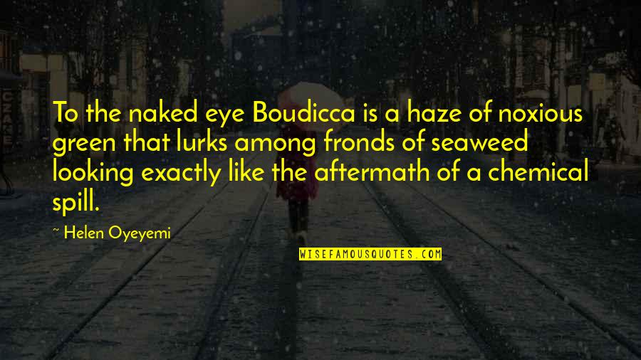 Spill'd Quotes By Helen Oyeyemi: To the naked eye Boudicca is a haze