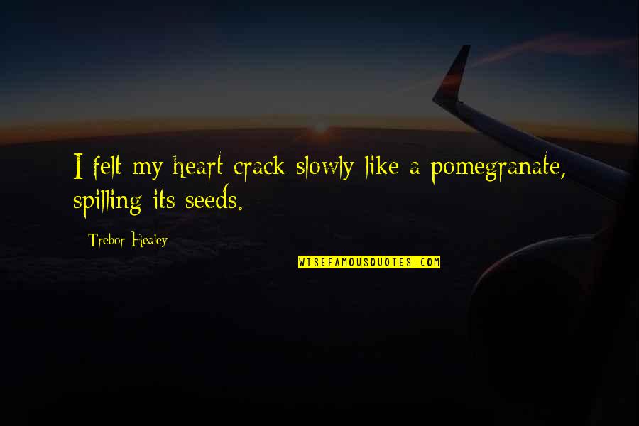Spilling Your Heart Out Quotes By Trebor Healey: I felt my heart crack slowly like a