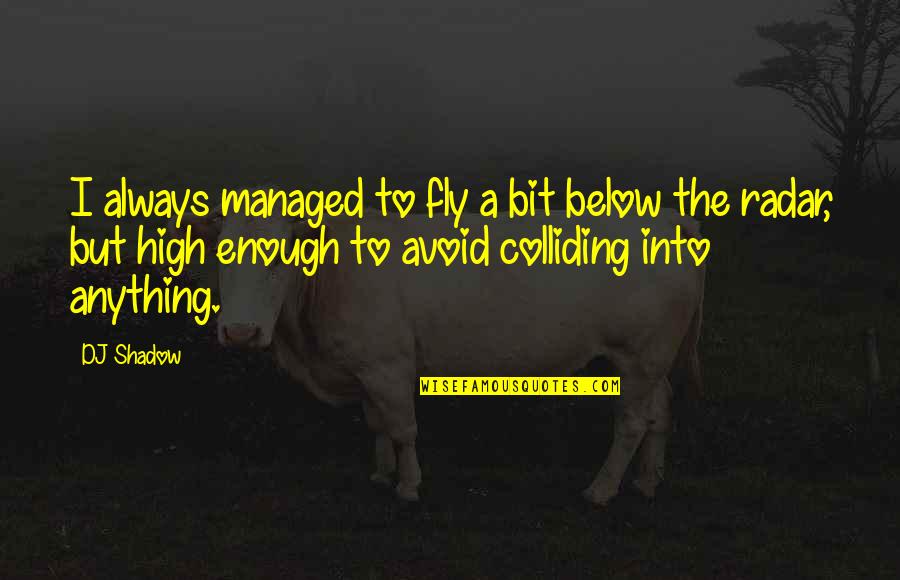 Spinal Tap Ian Quotes By DJ Shadow: I always managed to fly a bit below Spinal Tap Ian Quotes By DJ Shadow: I always managed to fly a bit below