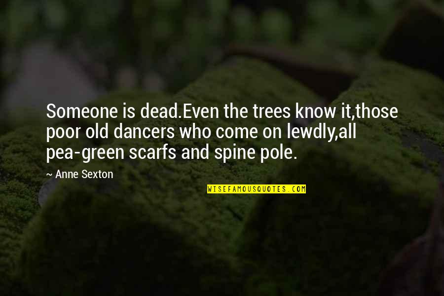 Spine Quotes By Anne Sexton: Someone is dead.Even the trees know it,those poor Spine Quotes By Anne Sexton: Someone is dead.Even the trees know it,those poor