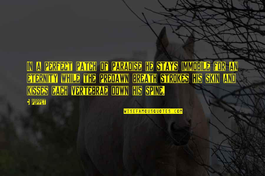 Spine Quotes By Poppet: In a perfect patch of paradise he stays Spine Quotes By Poppet: In a perfect patch of paradise he stays