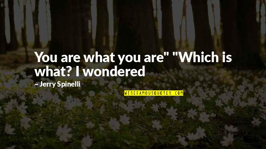 Spinelli Quotes By Jerry Spinelli: You are what you are" "Which is what? Spinelli Quotes By Jerry Spinelli: You are what you are" "Which is what?