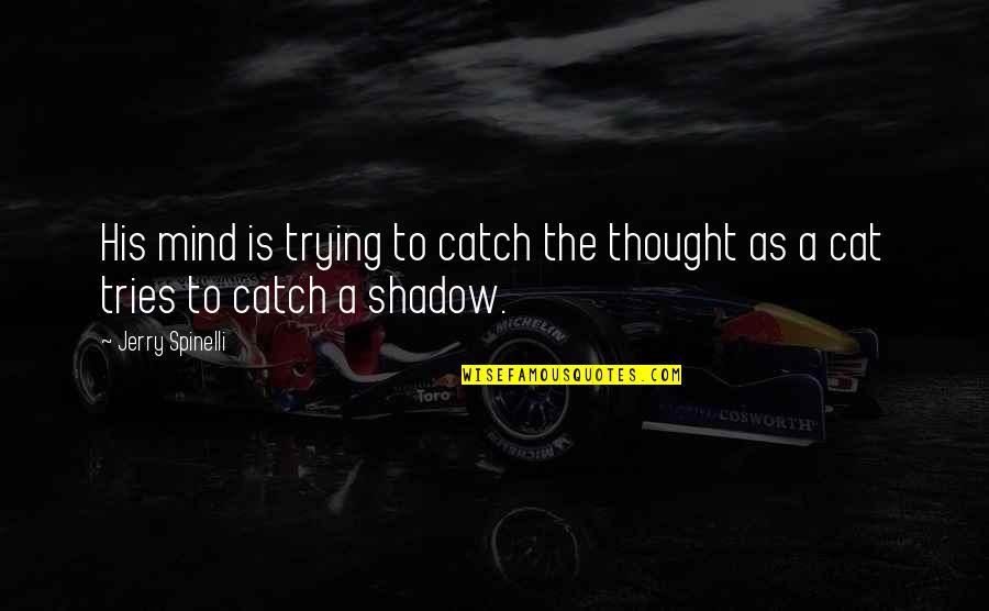 Spinelli Quotes By Jerry Spinelli: His mind is trying to catch the thought