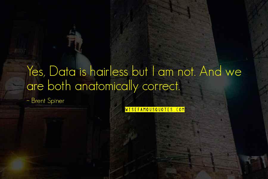 Spiner's Quotes By Brent Spiner: Yes, Data is hairless but I am not.
