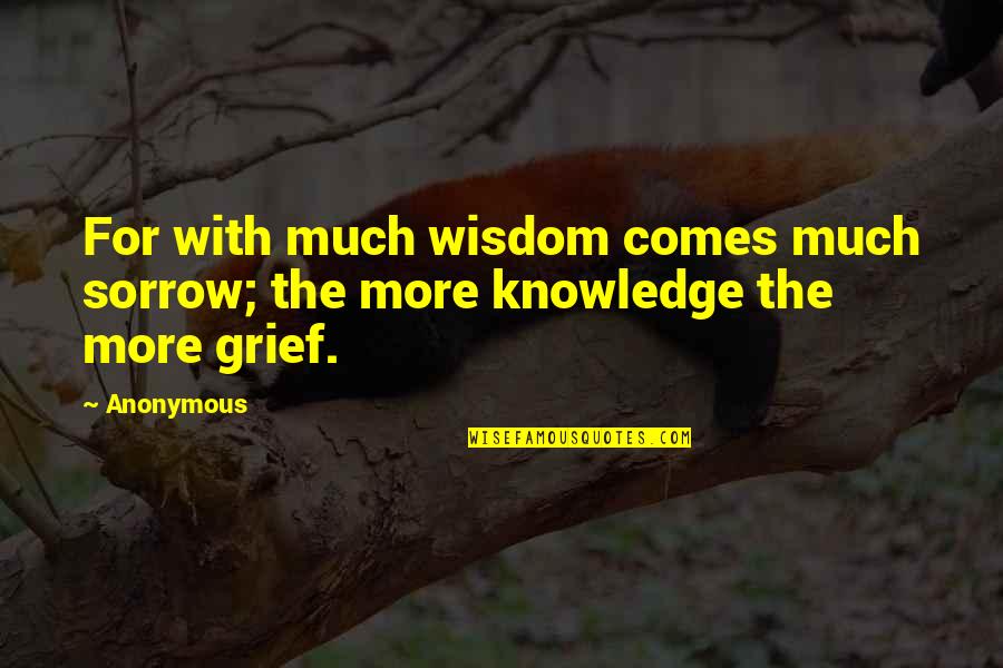 Spinge Binge Quotes By Anonymous: For with much wisdom comes much sorrow; the