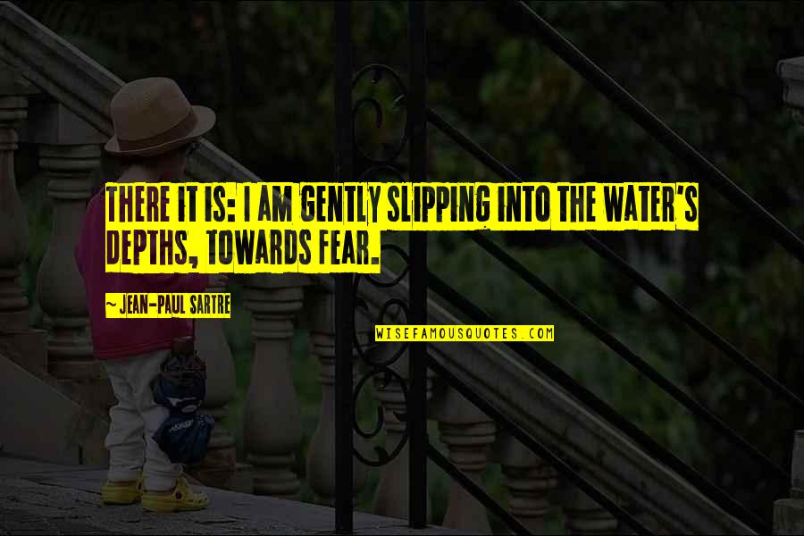 Spinnen Bilder Quotes By Jean-Paul Sartre: There it is: I am gently slipping into