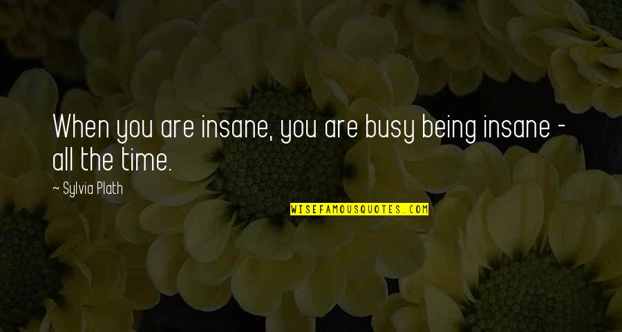 Spinoza Determinism Quotes By Sylvia Plath: When you are insane, you are busy being