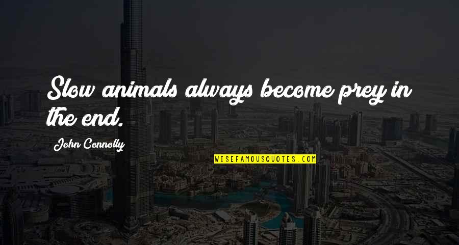 Spinoza Latin Quotes By John Connolly: Slow animals always become prey in the end. Spinoza Latin Quotes By John Connolly: Slow animals always become prey in the end.