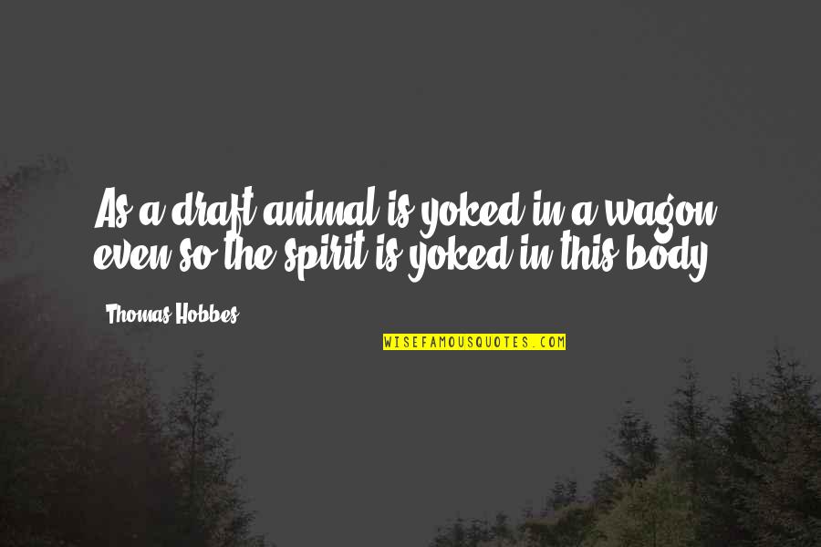 Spirit Animal Quotes By Thomas Hobbes: As a draft-animal is yoked in a wagon,