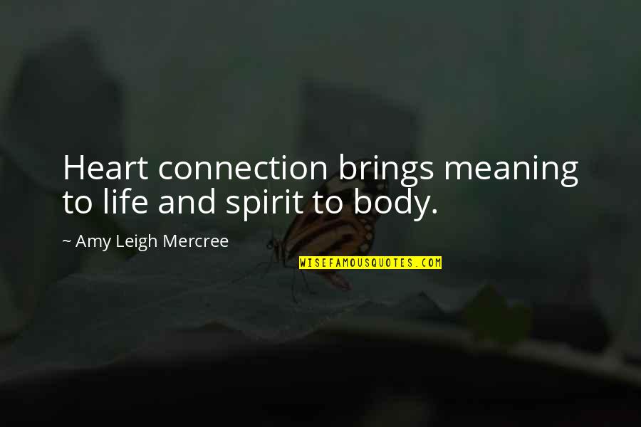 Spirit Connection Quotes By Amy Leigh Mercree: Heart connection brings meaning to life and spirit