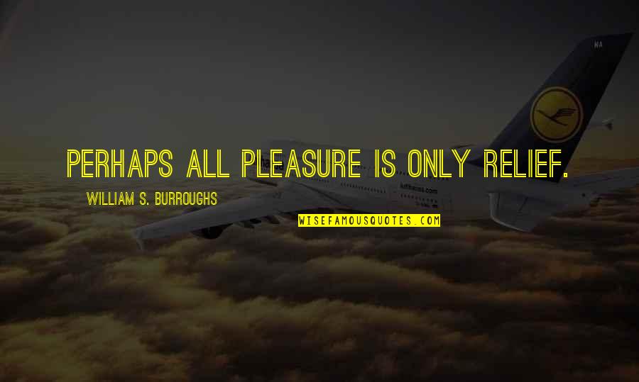 Spirit Lifting Inspirational Quotes By William S. Burroughs: Perhaps all pleasure is only relief.